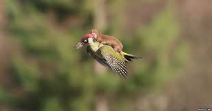 Recenzie a aktuality na jednom mieste. Facebook