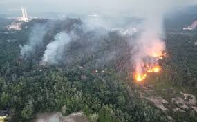 Tiga hektar lagi hutan simpan di Kuala ...