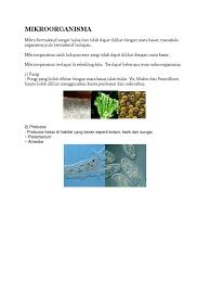 We did not find results for: Mikroorganisma