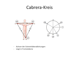 Eine mutation des coronavirus hat nun auch den märkischen kreis erreicht. Ppt Ekg Kurs Powerpoint Presentation Free Download Id 3876245