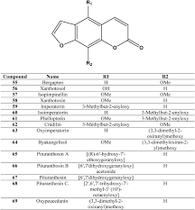 Image result for Deverra burchellii