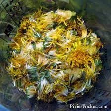 Wild Fermented Dandelion Wine Pixie S Pocket Dandelion Recipes Dandelion Wine Wine Recipes