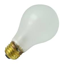 Philips 415265 A19 Light Bulb