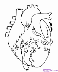 Human Heart Coloring Pages Human Organ Coloring Pages Human Organs Coloring Page Crafts Heart Coloring Pages Human Heart Anatomy Coloring Book