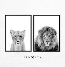 Black And White Lion And Lioness Pictures Lion Print Set Lioness Print Set Of 2 Prints Large Poster Safari Nursery Prints Safari Nursery Lion Art Digital Download Animal Art Black And White Lion Lion Print Lion Wall Art