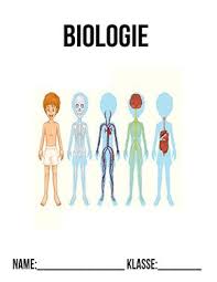 Biologie Deckblatt 5 Klasse Deckblatter Zum Ausdrucken Schulbeginn Schulanfang Ersterschultag Einschulung Vo In 2020 Deckblatt Biologie Bio Deckblatt