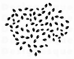 Download Watermelon Seeds Svg Png Free Watermelon Seeds Svg Png Transparent Images 156174 Pngio