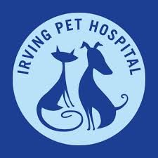 Mission pet hospital, san francisco, california. Mission Pet Hospital Home Facebook