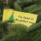 Christmas Trees Shop booking slots 2025 event image