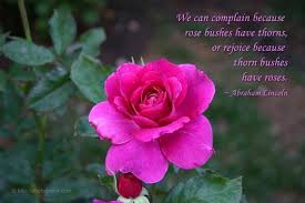 Abraham Lincoln Quote On Perspective Rose Bush Or Thorn Bush Quotes About Photography Rose Flower Quotes