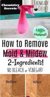 How To Remove Mold From Bathroom Walls From Showers Plastic And More There Is No Vinegar Or Bleach In This Natu Mold Remover Mildew Remover Mold In Bathroom
