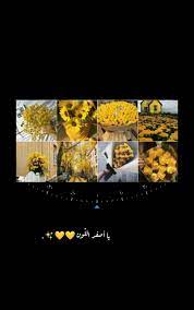 pin by nadia17 on اصفر cover photo quotes photo quotes yellow aesthetic pastel