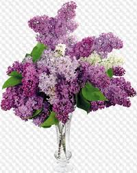 The most comprehensive image search on the web. 9 Png Lila Blumen Bilder Mit Transparentem Hintergrund