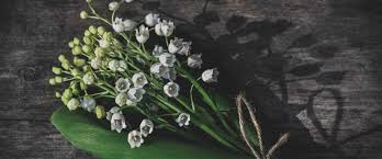 De quoi plonger dans un océan de senteurs et d'air frais. Photos Pour Le 1er Mai Offrez Un Parfum Porte Bonheur Au Muguet Gala