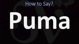 The x sound in chinese pronunciation. How To Pronounce Camel Correctly Youtube