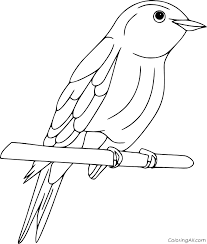 Download Bluebird Coloring Pages Coloringall