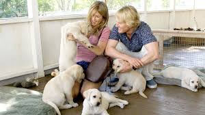 After appearing in television roles throughout the 2000s with his recurring became famous for playing dr. Watch Marley Me Prime Video