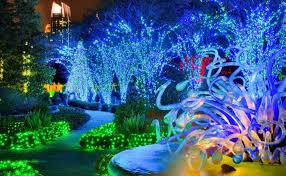 Your Guide To Dazzling Holiday Lights Around Atlanta Atlanta Botanical Garden Christmas Light Displays Holiday Lights