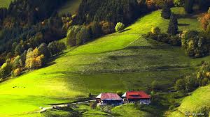 4k uhd black forest germany the dark evergreen forest wonders of the world black forest natural wonders