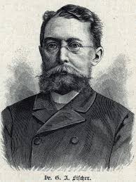 Image result for Gutenbergia rueppellii