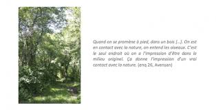 Quand je me prom?ne au fond de la for?t. Quand La Foret S Impose Comme Une Evidence Paysagere Pour L Habitant