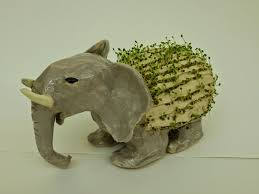 The Calvert Canvas Adventures In Middle School Art Cha Cha Chia School Art Projects Middle School Art 7th Grade Art