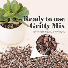 We did not find results for: 6 Best Soil For Succulents In Pots 2021 Edition Succulent Alley