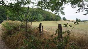 Zwischen wuppertal, velbert, hattingen und sprockhövel rahmen die tiefen täler von deilbach und felderbach einen wundervollen naturraum mit wiesen, mischwäldern und über 300m hohen. Tour 1028 Velbert Langenberg Einmal Rund Um Langenberg 2 2 Wanderwegewelt