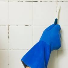 mold and mildew surface cleaner recipes