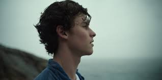 The site aims to provide you with all. Shawn Mendes In Wonder Review A Skin Deep Portrait The New York Times