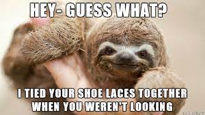 Naughty Sloth Meme On Imgur