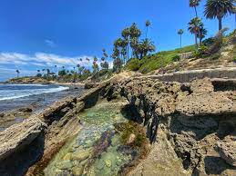 The Best Tide Pools in Orange County California - Family Friendly Travel  Destinations