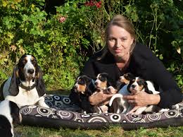 Image result for švycký honič