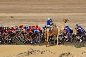 Dubai marina, an artificial canal city district in dubai, united arab emirates. Uae Tour Cancelled As Two Team Staff Test Positive For Coronavirus Cyclingtips