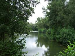 Maybe you would like to learn more about one of these? Erholungsgebiet Forsteckweiher Kinder In Dieburg
