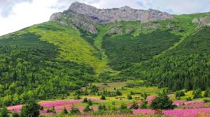 Du wirst es nicht bereuen, der slowakei eine chance zu geben und dich garantiert recht schnell in die städte und natur verlieben. Tatry Der Slowakischen Tatra Kostenloses Foto Auf Pixabay