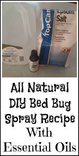 Before you start brainstorming on where to do that, this article explains everything you need to know about bed bug traps and baits. Essential Oil Bed Bug Spray Recipe Organic Palace Queen Bed Bugs Essential Oils Bug Spray Recipe Bed Bug Spray