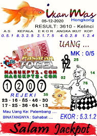Pin Di Syair Ikan Mas Togel