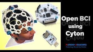 Battery council international, american trade association. Open Bci Using Cyton Youtube