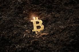 News of the move boosted bitcoin's exchange rate value by 5%. Bitcoin Price Latest News Trends And Updates On Cryptocurrency