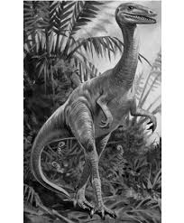 They are equally appropriate for girls, boys, and people of any gender. Dino Directory Name A Z Dinosaurs Beginning With The Letter P Natural History Museum