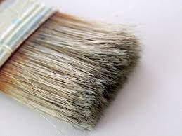 Daripada berus gigi (enam unit), berus cat (dua) dan berus solekan (satu set) yang diuji, didapati berus cat mencatatkan lebih 70 peratus daripada bulu semakan dalam pangkalan data ipph mendapati ia sepadan produk lain yang pernah kami uji, iaitu bahannya diperbuat daripada bulu babi. Berus Cat Dari Bulu Babi Cara Mengenal Bulu Babi Mawardi Yunus