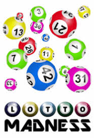 Lotto Madness On My Perfect Internet You Win For Free Http Www Weplayyouwin Com Refid E6425 Lotto Lottery Lottery Lottery Winner