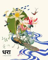 Image result for Pouteria altissima