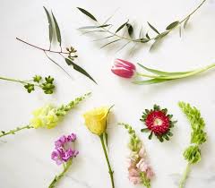 Start With Supermarket Flowers Flowers Hypericum Berries Tulips Flowers