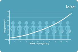 Image result for Progesterone