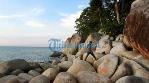 Menjadi kawasan wisata andalan, pantai kartini selalu ramai akan pengunjungi setiap harinya. Samudera Indah Dan Kura Kura Raksasa Dua Pesona Wisata Di Pesisir Kalbar Banjarmasin Post