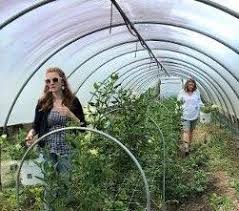 Blog Dahlia Workshop Alpharetta Florist Alpharetta Flower Market Flower Delivery Alpharetta Ga 30004