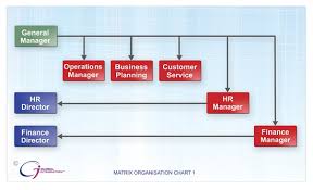 Matrix Organization Chart 1 549x335 Global Integration
