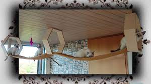 Vor allem die idee mit den kg rohr ist perfekt. Diy Decken Laufsteg Fur Katzen Cats Heaven Catwalk Youtube